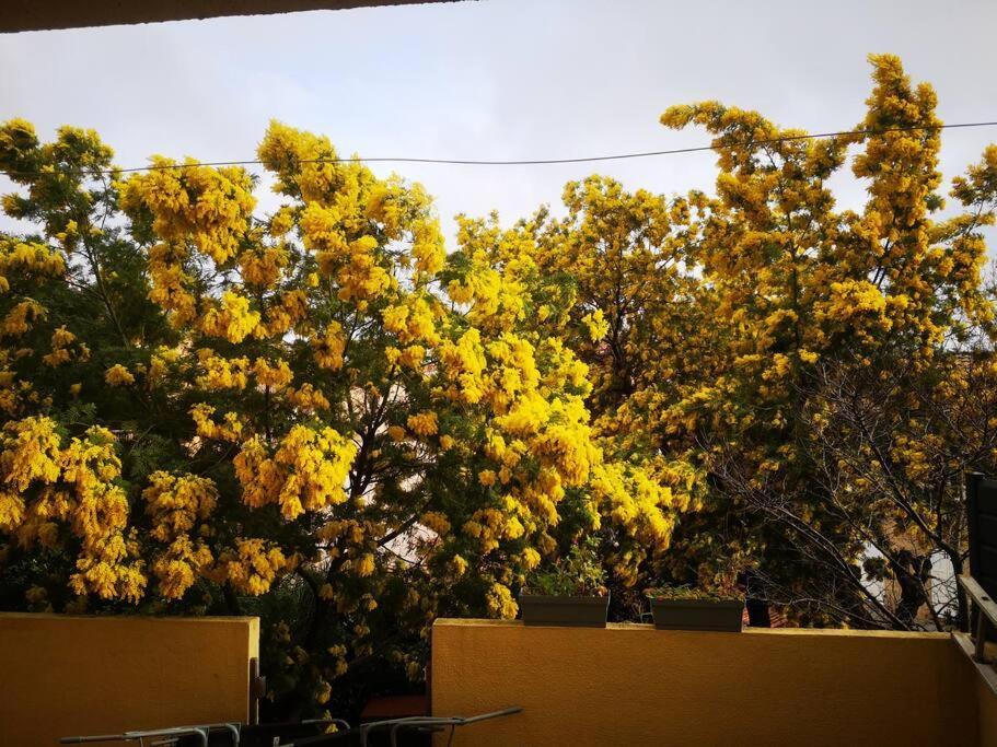 Appartement Proche Mer Avec Terrasse Et Jardin Privatif Hyères Dış mekan fotoğraf