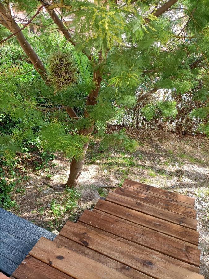 Appartement Proche Mer Avec Terrasse Et Jardin Privatif Hyères Dış mekan fotoğraf